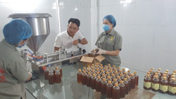 Huyện Krông Búk thúc đẩy phát triển sản phẩm OCOP