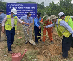 Trồng 200 cây xanh dọc Quốc lộ 26