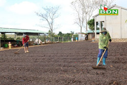 Vợ chồng trẻ quyết chí khởi nghiệp từ nghề nông