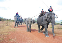 Mùa Xuân trên xứ sở thần Ngoach Ngoal