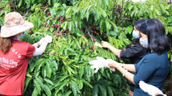 Xốn xang lời mời gọi