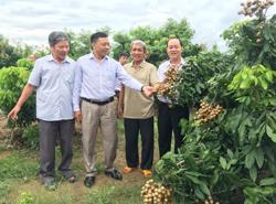 Sắc xuân ở xã nông thôn mới Ea Pil