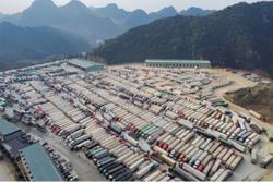 Lạng Sơn tạm dừng nhận xe hoa quả tươi từ 16-2