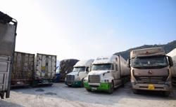 Tăng cường phòng dịch với nông sản xuất khẩu