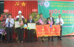 Năm 2022, Công ty TNHH MTV Cao su Ea H’leo phấn đấu khai thác 5.600 tấn mủ