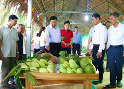 Chiến lược giúp nông dân làm giàu