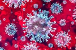 Xác định "kháng thể giả mạo" gây Covid-19 nghiêm trọng: Cơ hội cứu nhiều người