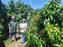 Ứng dụng công nghệ sinh học cho cây ra trái theo ý muốn