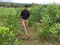 Huyện M'Drắk: Hướng tới phát triển kinh tế rừng bền vững