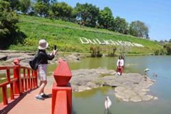 Cần hoàn thiện thể chế để phát triển