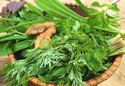 Lá xông hút hàng khi F0 tăng mạnh