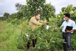 Nông trại du lịch của chàng trai 8X