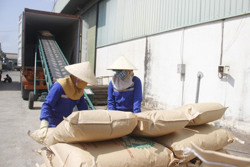 Tín hiệu vui cho xuất khẩu nông sản