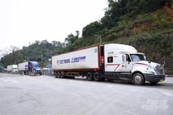 Thí điểm phương án 'cắt container' để giải quyết ùn ứ tại cửa khẩu