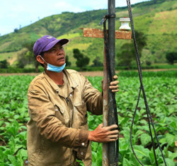 Giá vật tư nông nghiệp tăng, nông dân gặp khó