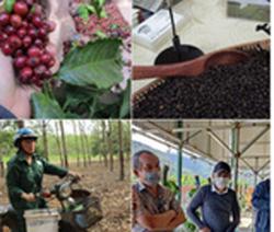 Những nông sản trúng giá giúp nhà nông thắng đậm