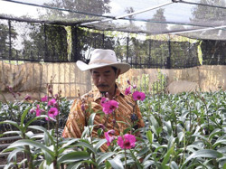 Góp hương sắc cho đời