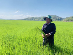 Người hết lòng vì mảnh đất Dur Kmăl