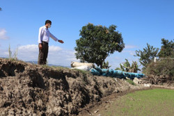 Vùng chuyên canh lúa huyện Lắk: Phấp phỏng nỗi lo sạt lở