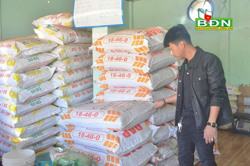 Giá phân bón vẫn ở mức cao