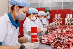 Công nghiệp tăng trưởng khá giữa bối cảnh dịch bệnh