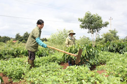 Kết nối việc làm cho lao động hồi hương