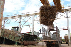 Ngành mía đường: Nan giải "bài toán" thiếu nguyên liệu