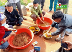 Giá phân bón tăng kỷ lục, nông dân xoay xở ứng phó