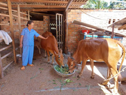 Hiệu quả từ mô hình phụ nữ tiết kiệm góp vốn xoay vòng