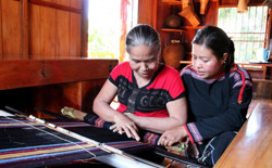 Phát triển kinh tế tập thể ở huyện Ea Kar: Bệ phóng” từ chính sách