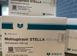 Đề xuất 2 phương án cấp phát miễn phí và bán để người dân tự mua thuốc Molnupiravir