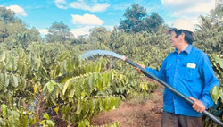 Đắk Lắk: Chủ động phòng, chống hạn cho cây trồng