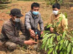 Lợi kép từ ứng dụng tưới nước tiết kiệm