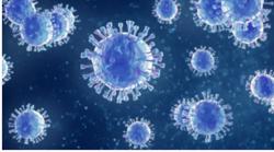 Trẻ em mắc Covid-19, kháng thể tự nhiên tồn tại ít nhất 7 tháng