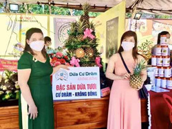 Nâng tầm thương hiệu dứa Krông Bông