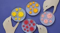 Triệu chứng và mức độ lây nhiễm của biến thể Deltacron