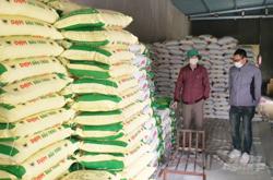 Nông dân xoay xở trước cơn bão giá phân bón