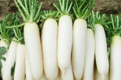 Bài thuốc trị ho, tiêu đờm, bổ phổi giúp F0 mau phục hồi