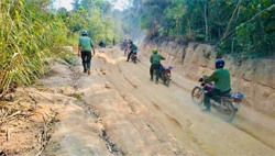 Bắt nhân viên bảo vệ rừng vì nhận 3 triệu của người chở củi