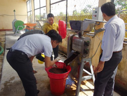 Ứng dụng công nghệ sấy bơm nhiệt và công nghệ enzyme trong sản xuất tiêu