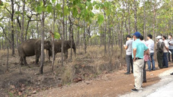 Hợp tác phát triển du lịch từ Famtrip