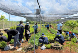 Sôi nổi Tháng Thanh niên ở huyện vùng sâu