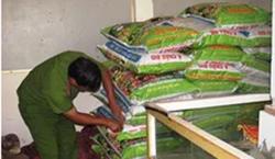 Khổ vì phân bón giả