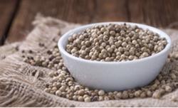 Giá tiêu hôm nay 4/3: Hồi phục về mức 80.500 đ/kg