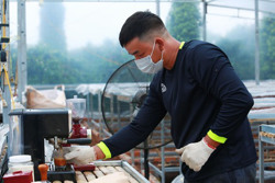 Thảnh thơi... như nông dân hôm nay