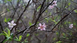 Xu hướng thời tiết 10 ngày tới