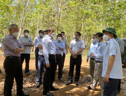 Chủ tịch UBND tỉnh Phạm Ngọc Nghị thị sát địa điểm xây dựng Trung tâm Kiểm soát bệnh tật tỉnh