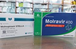 Năng lực sản xuất thuốc Molnupiravir cao hơn nhiều lần nhu cầu sử dụng