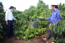 Huyện Krông Búk chủ động phòng, chống hạn cho cây trồng