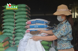 Người chăn nuôi tìm cách giảm chi phí đầu tư